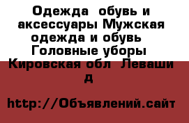 Одежда, обувь и аксессуары Мужская одежда и обувь - Головные уборы. Кировская обл.,Леваши д.